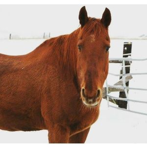 Meet your Posher, Hailey